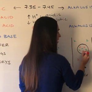 Meet your Posher, lu